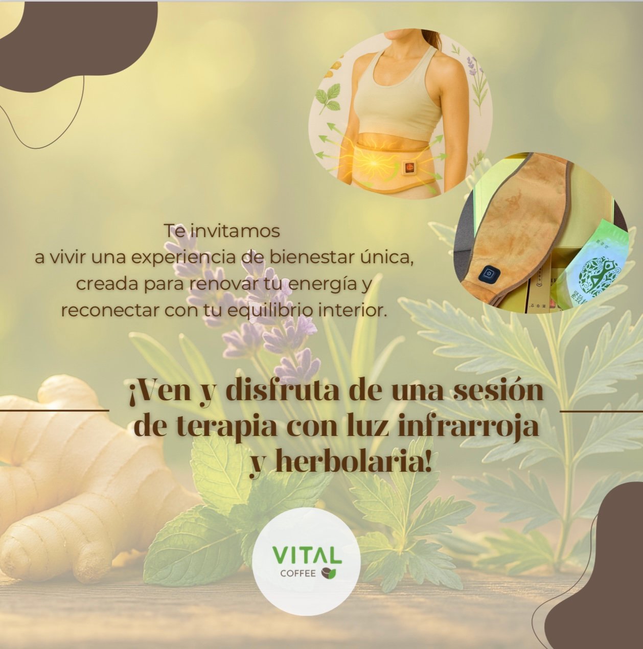 Galería Premium de Vital Coffee Natural