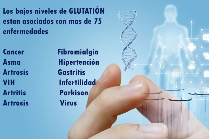 Galería Básica de Salud immunotec