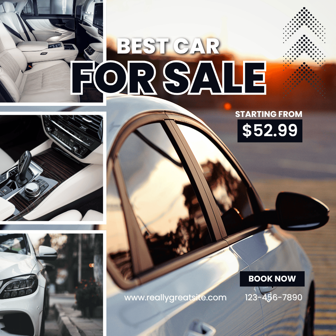 Galería Premium de Pixelnova Studio